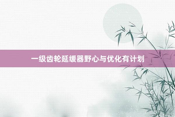 一级齿轮延缓器野心与优化有计划