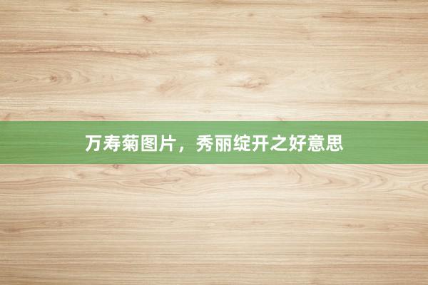 万寿菊图片,秀丽绽开之好意思