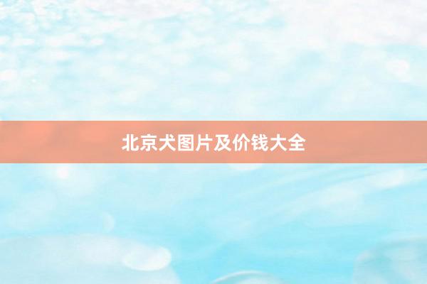 北京犬图片及价钱大全