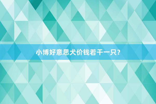 小博好意思犬价钱若干一只？